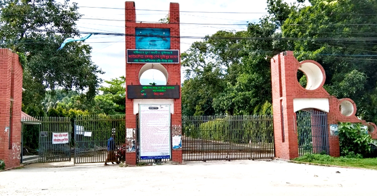 নিজ বিশ্ববিদ্যালয়ে কর্মসংস্থানের সুযোগ চ