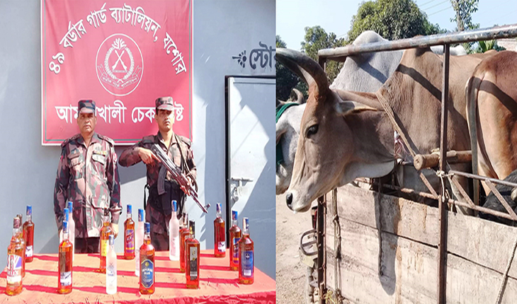 ১৭ বোতল ভারতীয় মদসহ ৪টি গরু আটক