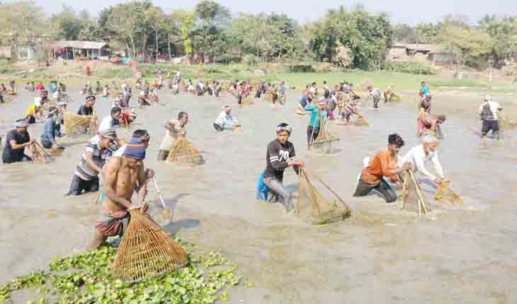 নাটোরে পদ্মায় মাছ ধরার উৎসব