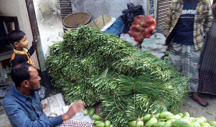 গুরুদাসপুরে পেঁয়াজের বিকল্প পাতা ১০ টাকা
