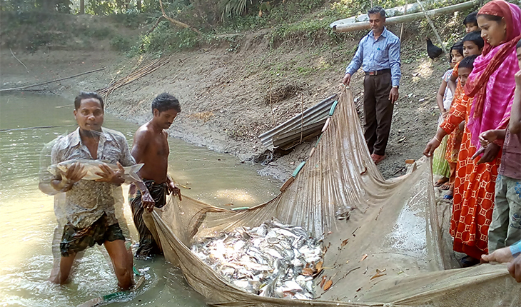 দেলদুয়ারে মাছ চাষ বদলে দিচ্ছে বেকার যুবক