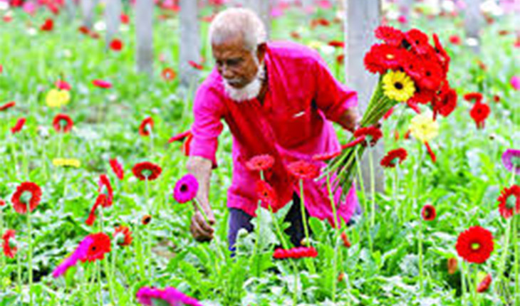 তিন দিবসকে সামেনে রেখে ৭০ কোটি টাকার ফুল