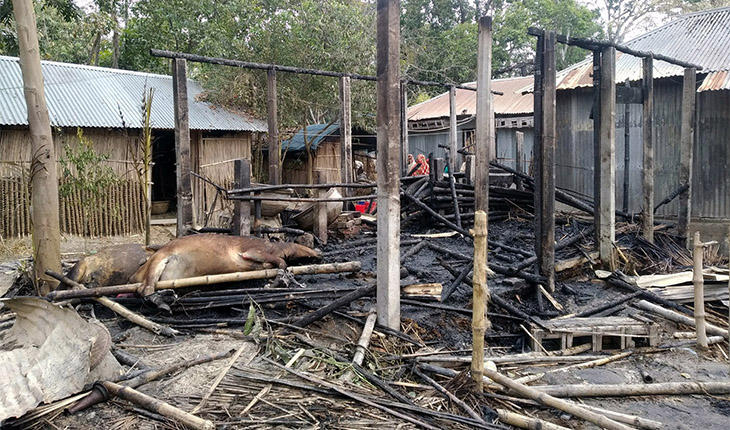 অগ্নিকান্ডে দিনমজুরের ঘরসহ গবাদি পশু পুড়