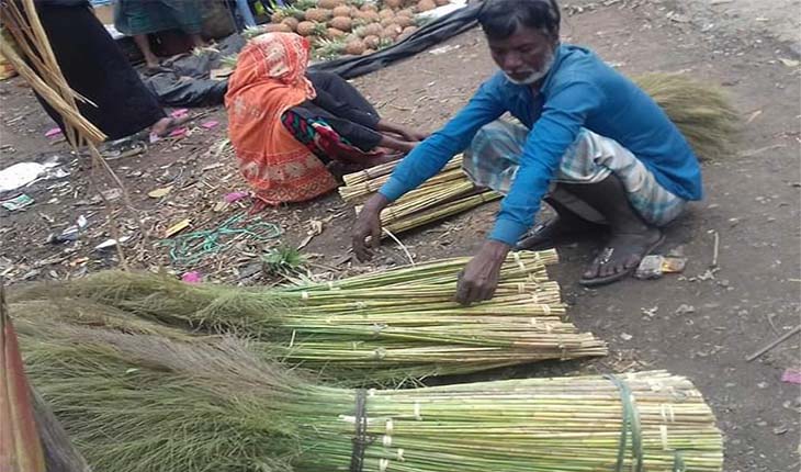 কক্সবাজারে ঝাড়ু ফুলের দর-বৃদ্ধি:বন না থা