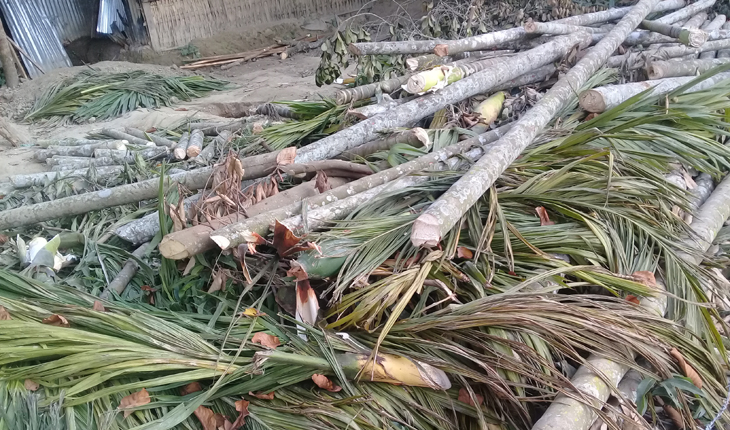 চকরিয়া উপজেলার ফাসিয়াখাল...