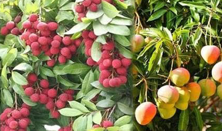 বিদায় লগ্নে বৈশাখ দারপ্রান্তে রসনাতৃপ্তি