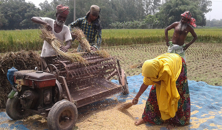 ধানের ব্লাস্ট রোগ, শ্রমিক সংকট ও দাম কম