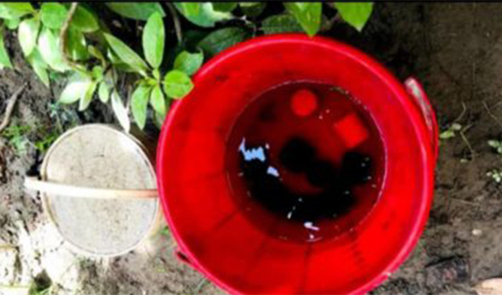 ভোলায় অজুখানার ছাদ থেকে ১২টি বোমা সদৃশ্য