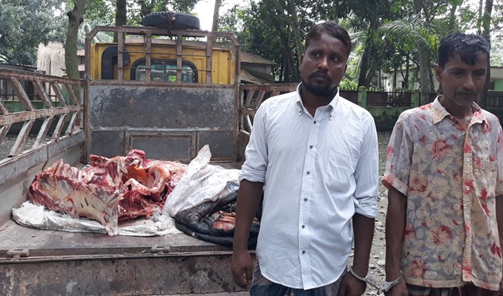 টাঙ্গাইলে দুই কসাইয়ের এক বছরের সাজা