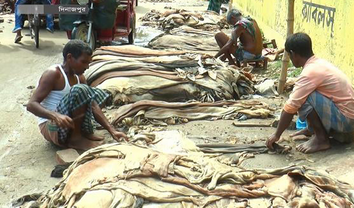 কাঁচা চামড়া রপ্তানির অনুমতি দেওয়ার সিদ্ধ