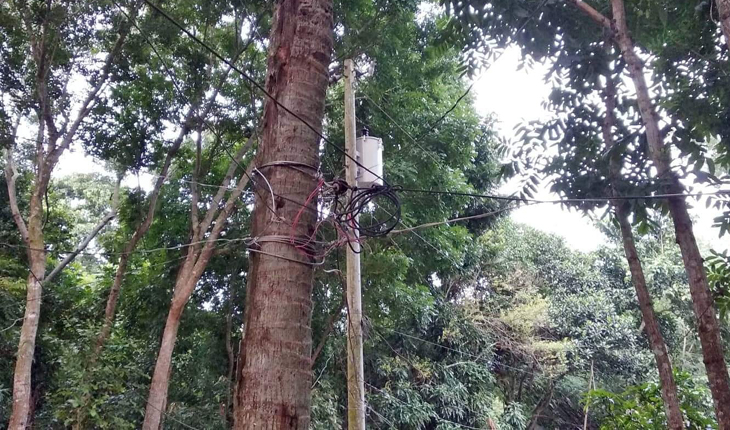 অবৈধ একতারে লাইন দিতেই ৮ লাখ টাকা ঘুষ 