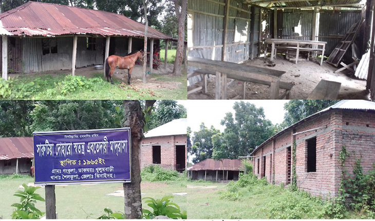 অর্ধশত বছরেও আলোর মুখ দেখেনি স্বতন্ত্র এ