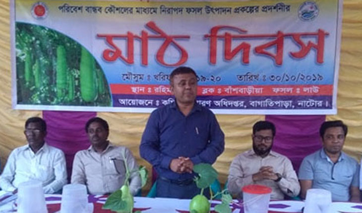 নাটোরে হাজারি জাতের লাউ ফসলের মাঠ দিবস