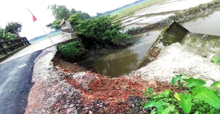 বীরগঞ্জে দলুয়া বাজার-জিন্দাপীর মেলার রাস