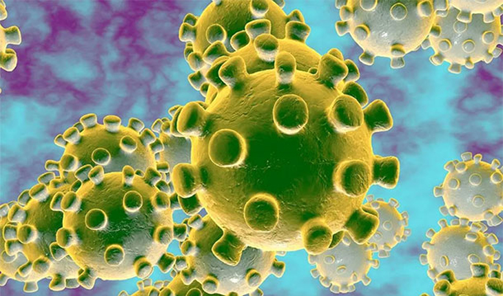 ভারতে ভয়াবহ হতে পারে করোনা: মার্কিন গোয়ে