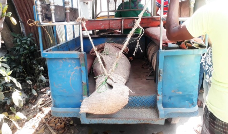 কালিহাতীতে গৃহবধুর রহস্যজনক মৃত্যু, স্বা