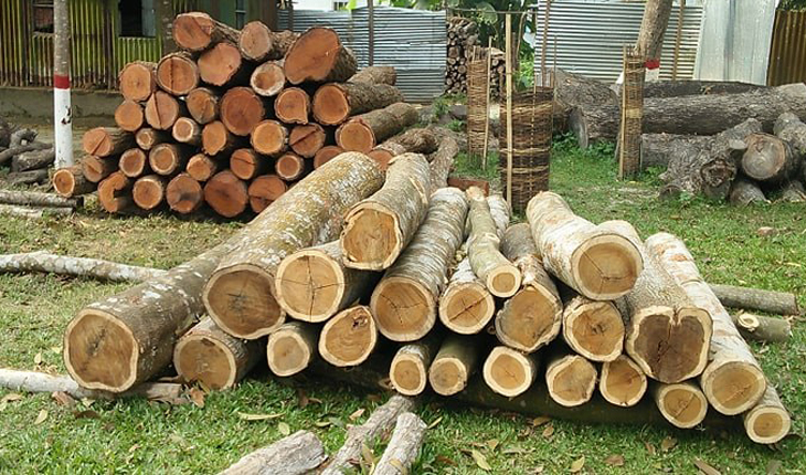 ঘাটাইলে অবৈধ চোরাই কাঠ উদ্ধার