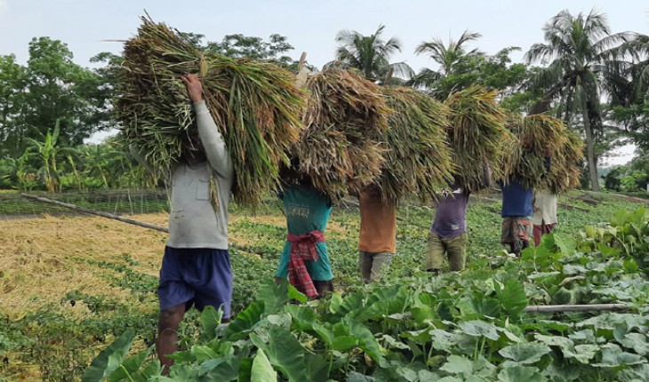 দেড় মনের টাকায় একজন শ্রমিক কৃষকের মুখে হ