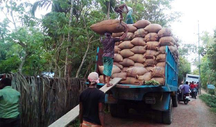 দক্ষিণ-পশ্চিমাঞ্চলে ধান লোকসানে বিক্রি ক