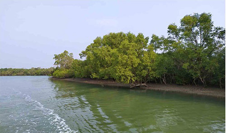 উপকূলবাসী সুন্দরবনের কারণে আবারো রক্ষা প