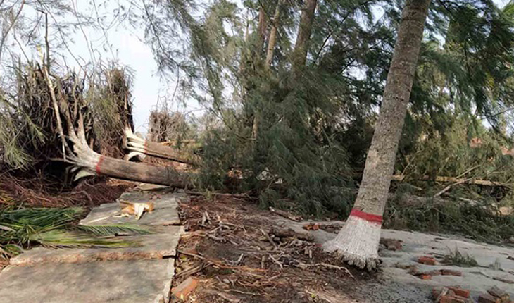 সুন্দরবনে আম্ফানে ক্ষয়ক্ষতি পৌনে দুই কোট