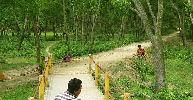 দিনাজপুর জেলার উত্তরের সুন্দরবন ঐতিহাসিক