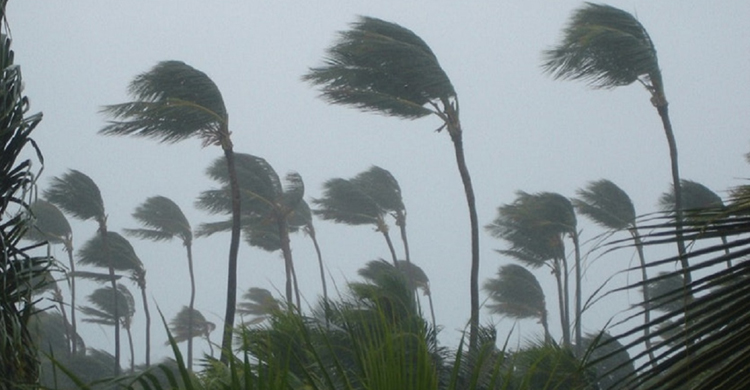 টাইফুনের কবলে ভিয়েতনাম, ২৬ জেলে নিখোঁজ