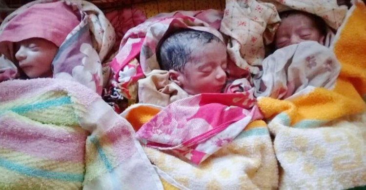 নাটোরের বাগাতিপাড়ায় একসঙ্গে যমজ তিন পুত্