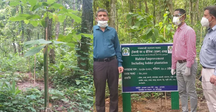 মধুপুরে বন বিভাগের ১৫৭ একর জায়গা দখলমুক্