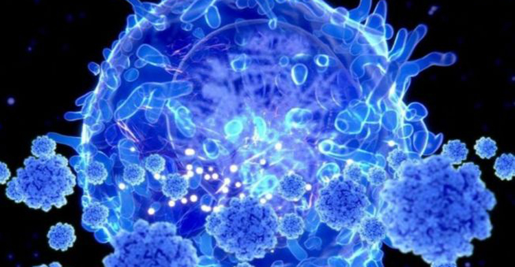 দেহে অ্যান্টিবডি না থাকলেও কি আপনি সংক্র