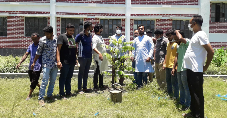 মাভাবিপ্রবি ছাত্রলীগের বৃক্ষরোপন কর্মসুচ