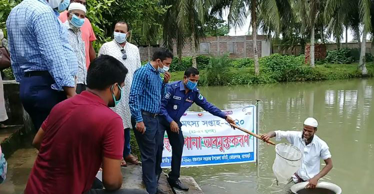 বাগেরহাটের মোরেলগঞ্জ মাছের পোনা অবমুক্তক