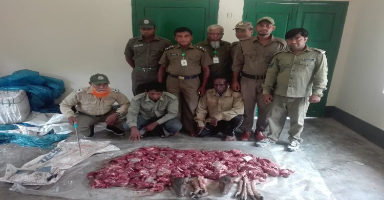 সুন্দরবনের দুটি হরিনের মাথাসহ ৩০ কেজি মা