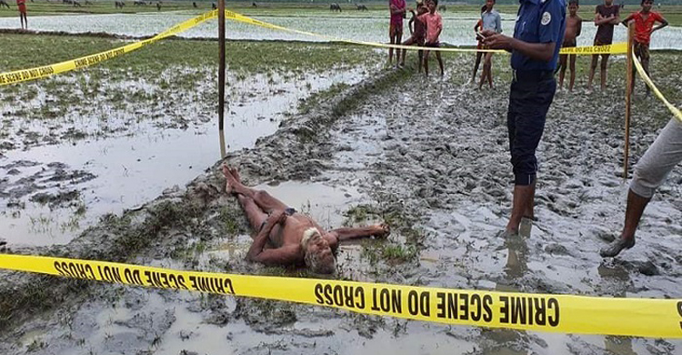 মনপুরায় কেওড়া বনে জ্বালানি কাঠ সংগ্রহ কর