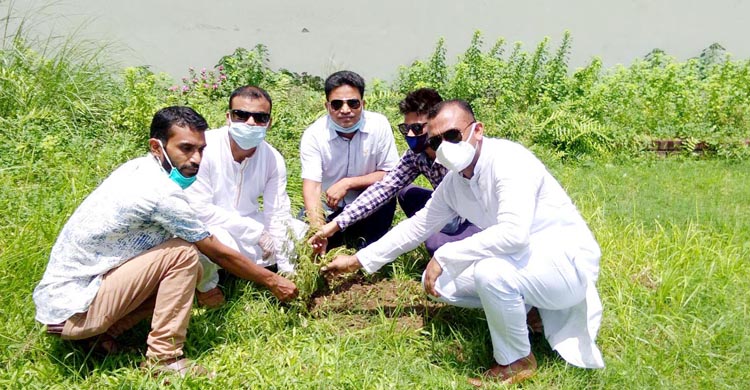 টাঙ্গাইলে যুবলীগের উদ্যোগে বৃক্ষরোপন কর্
