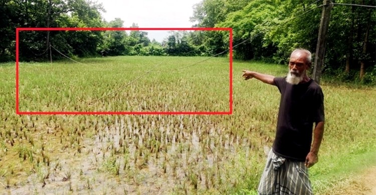 মির্জাপুরে স্বামী-স্ত্রীর মৃত্যু বলে গেল