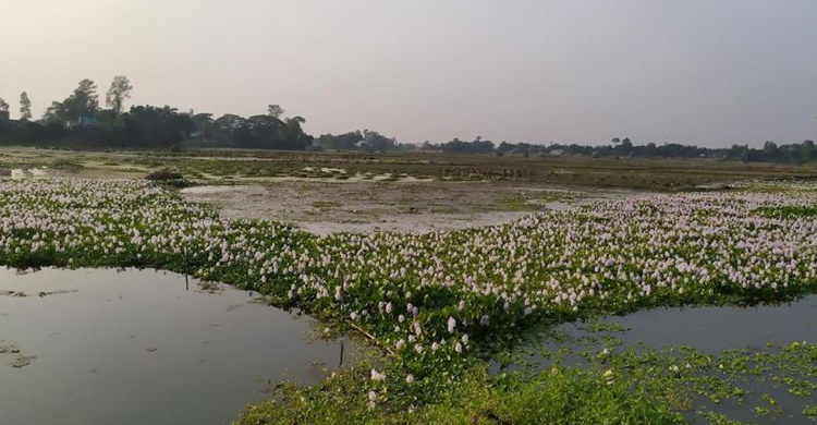 টাঙ্গাইলে পানি নিষ্কাশনের ব্যবস্থা না রে