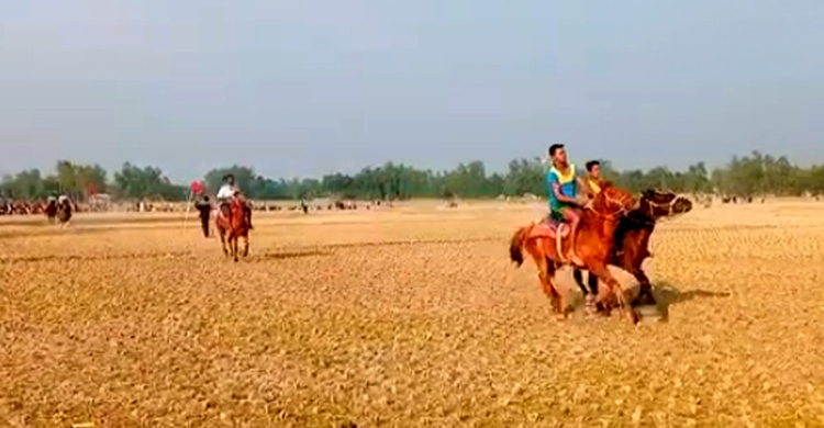 ধনবাড়ীতে ঘোড়াদৌঁড় প্রতিযোগিতা