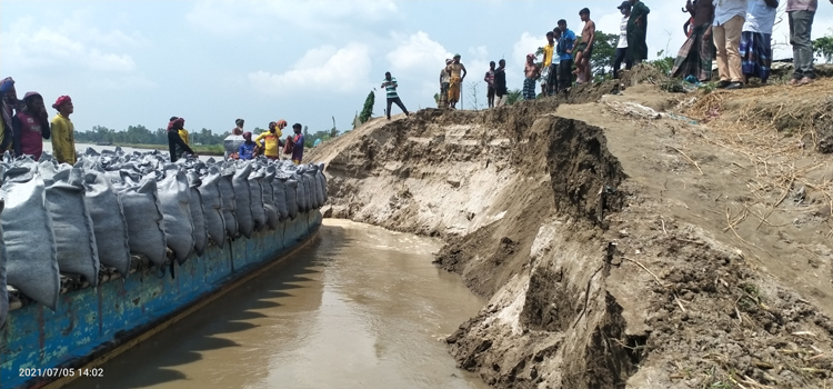 যমুনার ভাঙ্গনে দিশেহারা নদী পাড়ের মানুষ&nbsp;