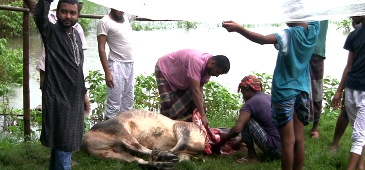 টাঙ্গাইলে ঈদের আগের দিনই ঈদ পালন করলেন ৪
