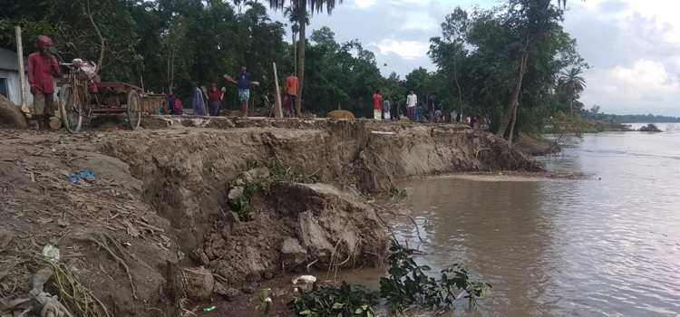 ১৮ ঘন্টার যমুনার ভাঙনে ৯২ পরিবার গৃহহীন
