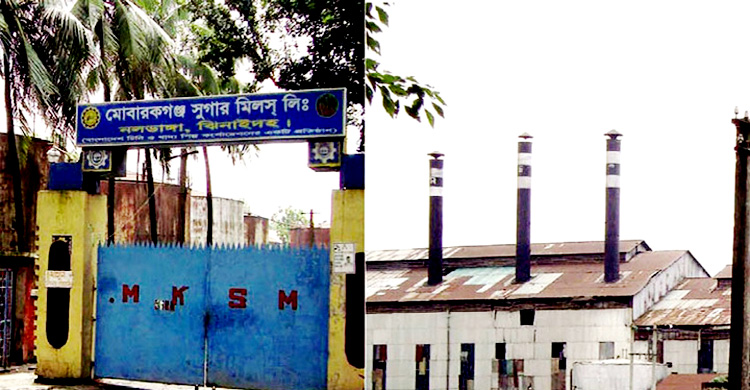 মোবারকগঞ্জ চিনিকল শ্রমিক ইউনিয়নের ভোট গা