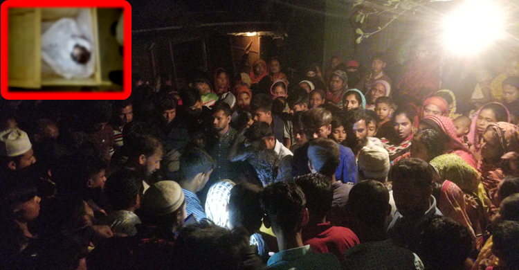 গাছ কাটায় শালিশী বৈঠক অম্যান্য করে হামলা