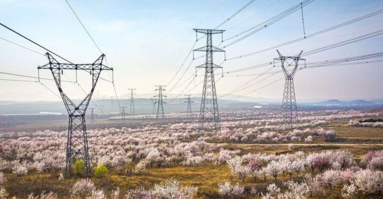 চীনে এতো বড়ো আকারের বিদ্যুৎ সঙ্কটের পেছ