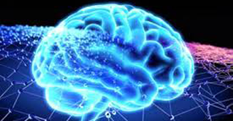 স্মৃতিশক্তি বাড়ানোর উপায়