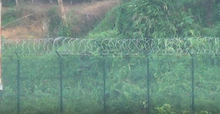 বিজিবি&rsquo;র বাধায় বেড়া নির্মাণ বন্ধ বিএসএফে
