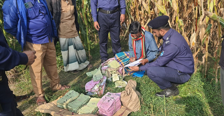 নির্বাচনে ব্যালট ছিনতাই, ৪১ দিনপর ভুট্টা