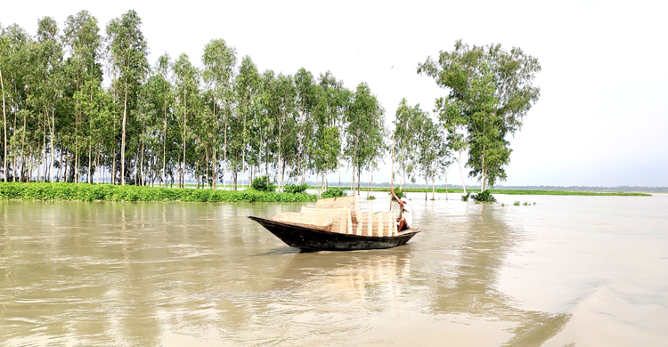 বিপৎসীমার নিচে এখন টাঙ্গাইলের সব নদীর পা