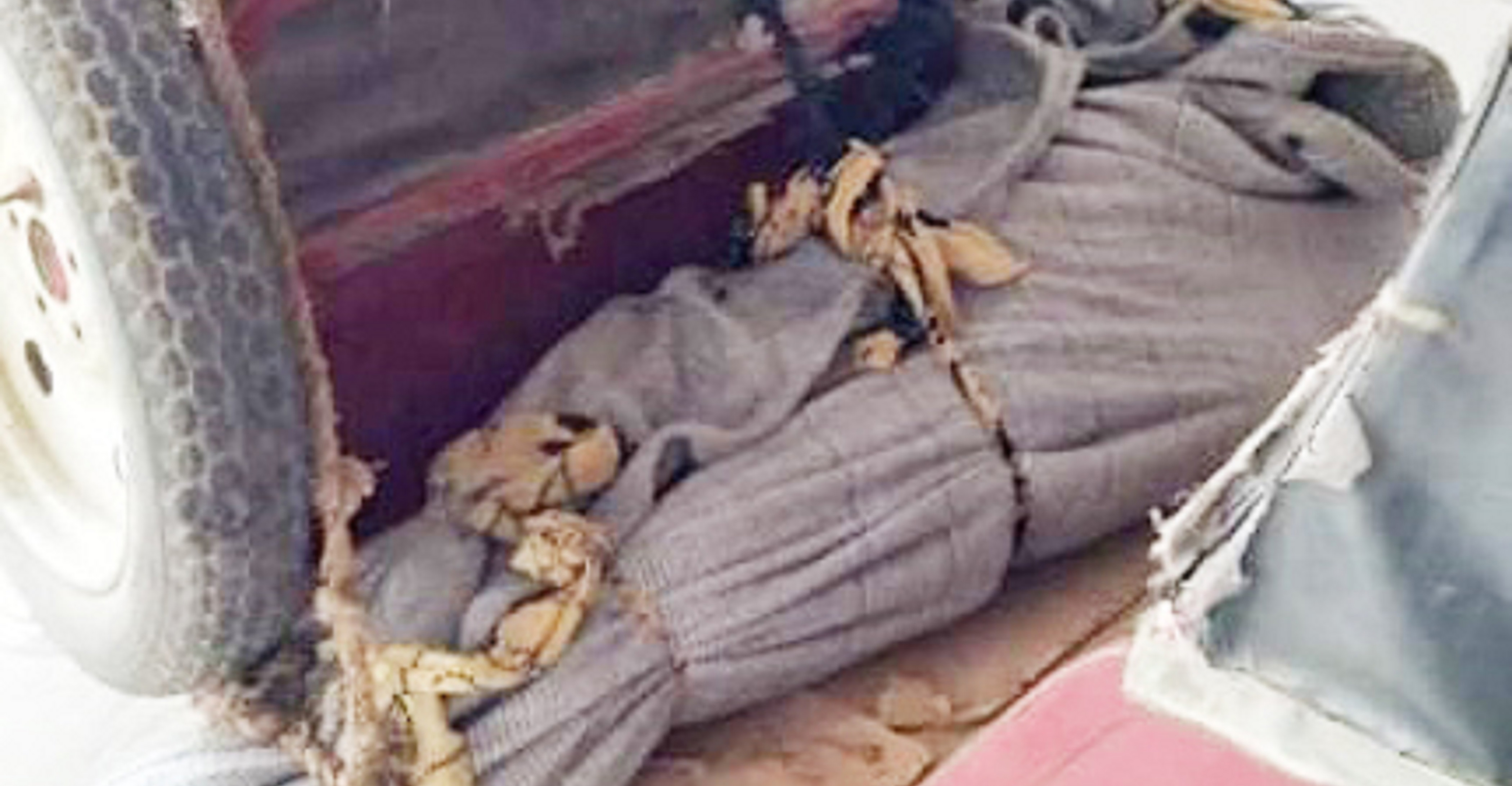 স্ত্রীর ওড়না গলায় পেঁছিয়ে ফাঁসিতে ঝুলে জ