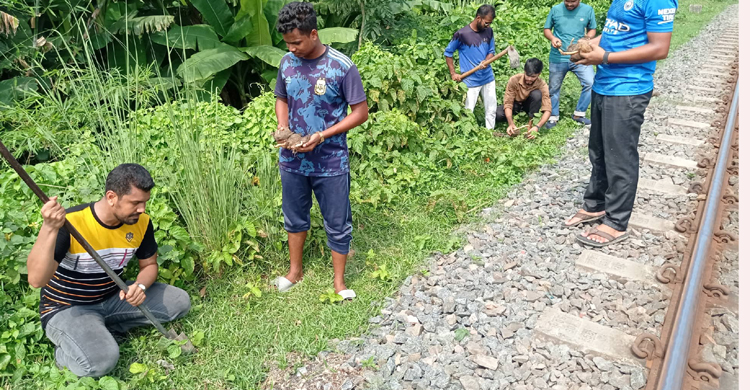 টাঙ্গাইলে বজ্রপাত প্রতিরোধে বাতিঘর আদর্শ